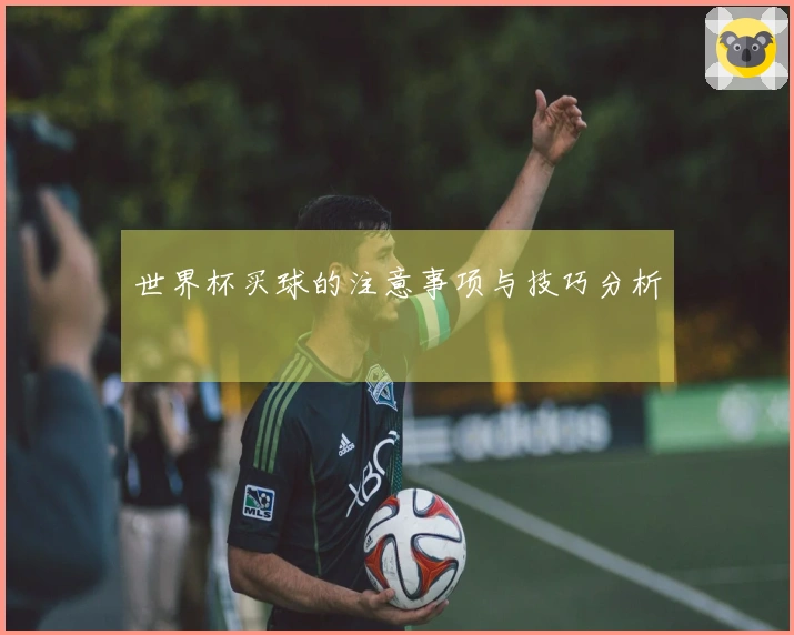 世界杯买球的注意事项与技巧分析