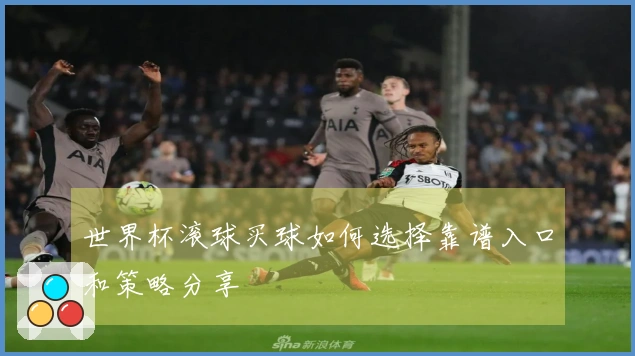 世界杯滚球买球如何选择靠谱入口和策略分享