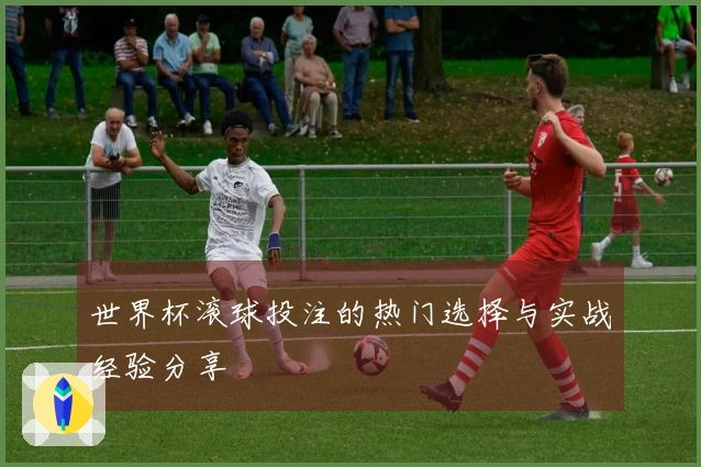 世界杯滚球投注的热门选择与实战经验分享